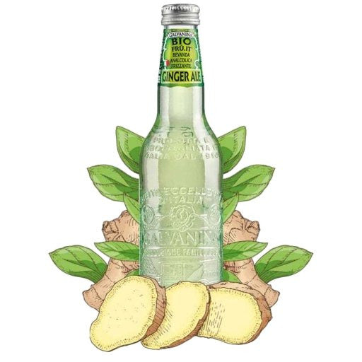 GALVANINA Organic Italian Ginger Ale Sparkling Soda - 355ml (12fl. oz) - Pinocchio's Pantry - Authentic Italian Food