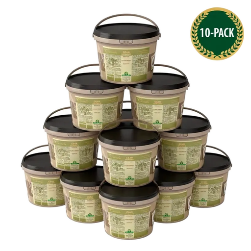 MASTER MARTINI Caravella Gran Pistachio Cream - 5kg (11lb)