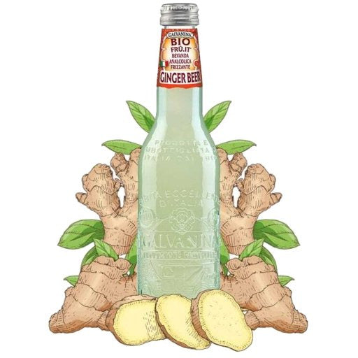 GALVANINA Organic Italian Ginger Beer Sparkling Soda - 355ml (12fl. oz) - Pinocchio's Pantry - Authentic Italian Food
